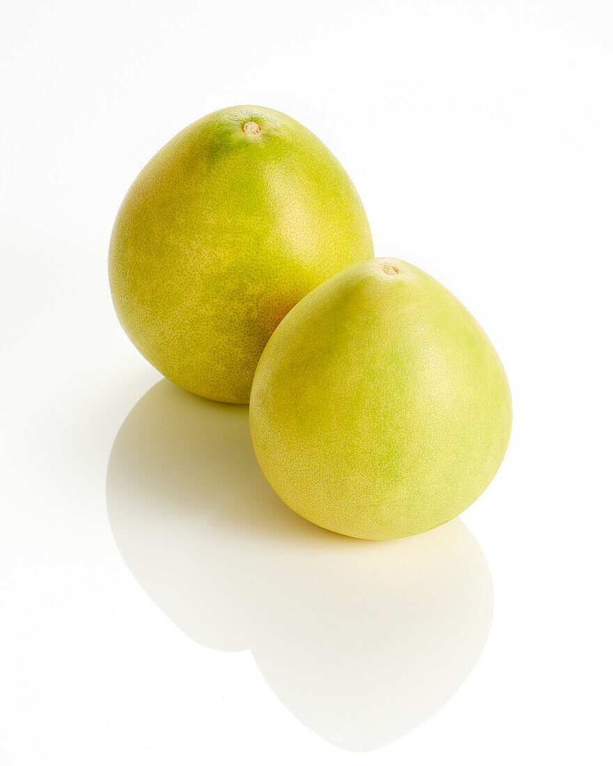 White pomelo, Citrus maxima