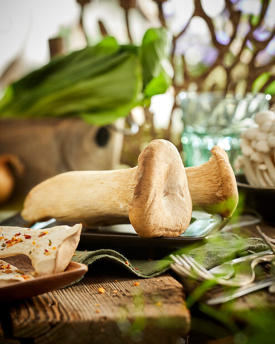 Kräuterseitling (Pleurotus eryngii)