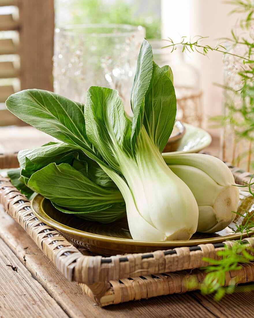 Bok Choy, Brassica rapa var. chinensis