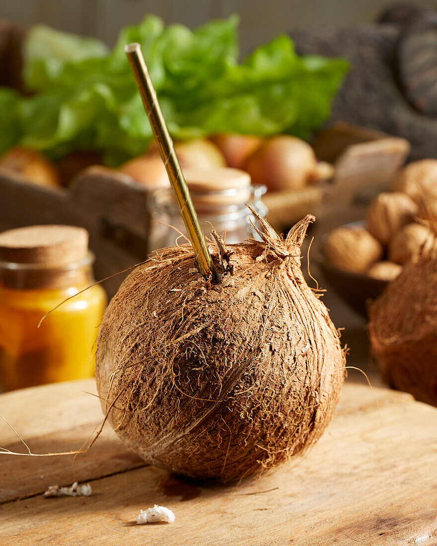 Coconut, Cocos nucifera