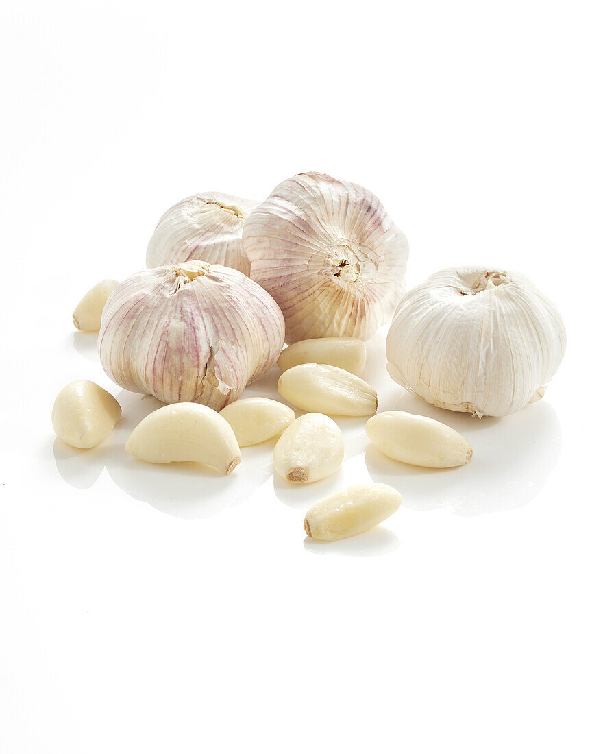 Garlic, Allium sativum