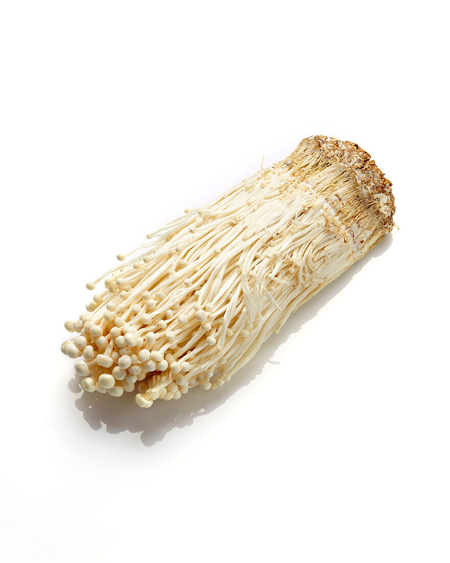 Enoki mushrooms, Flammulina velutipes