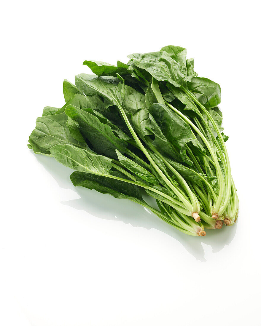 Spinach, Spinacia oleracea