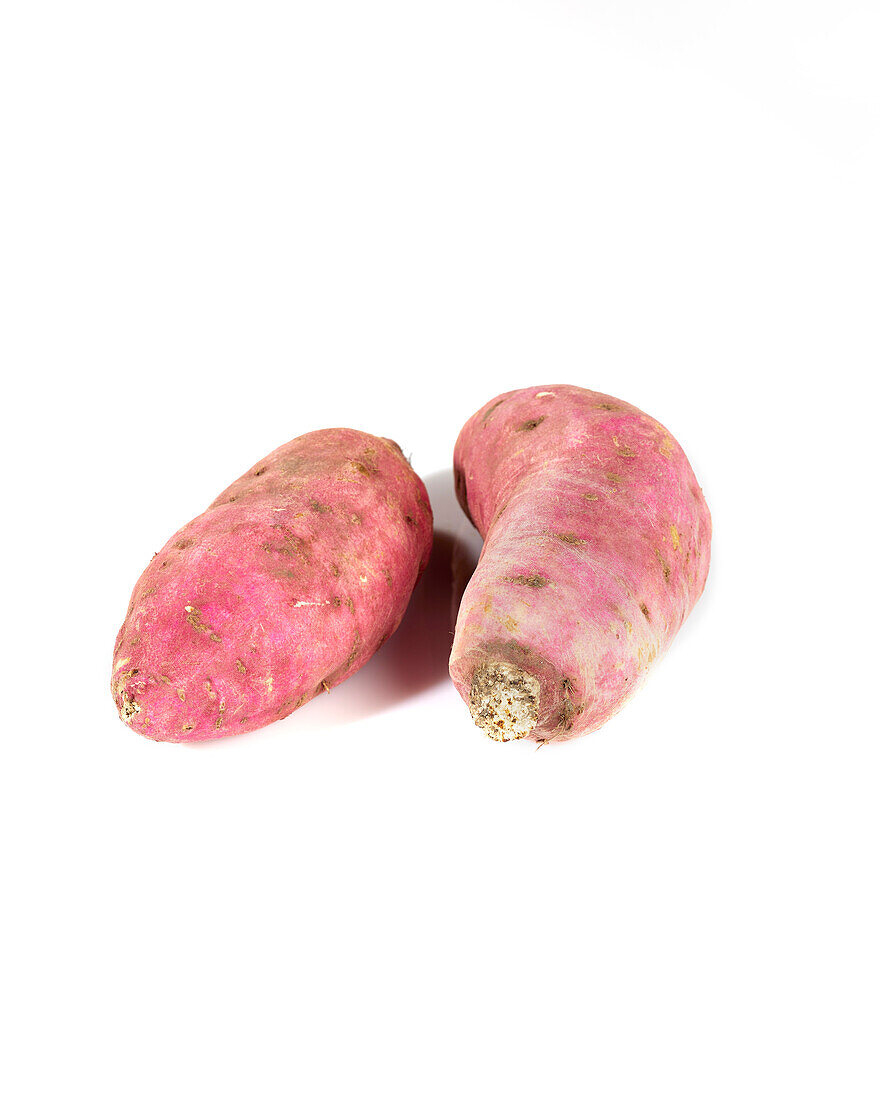 Rote Süßkartoffel (Ipomoea batatas)
