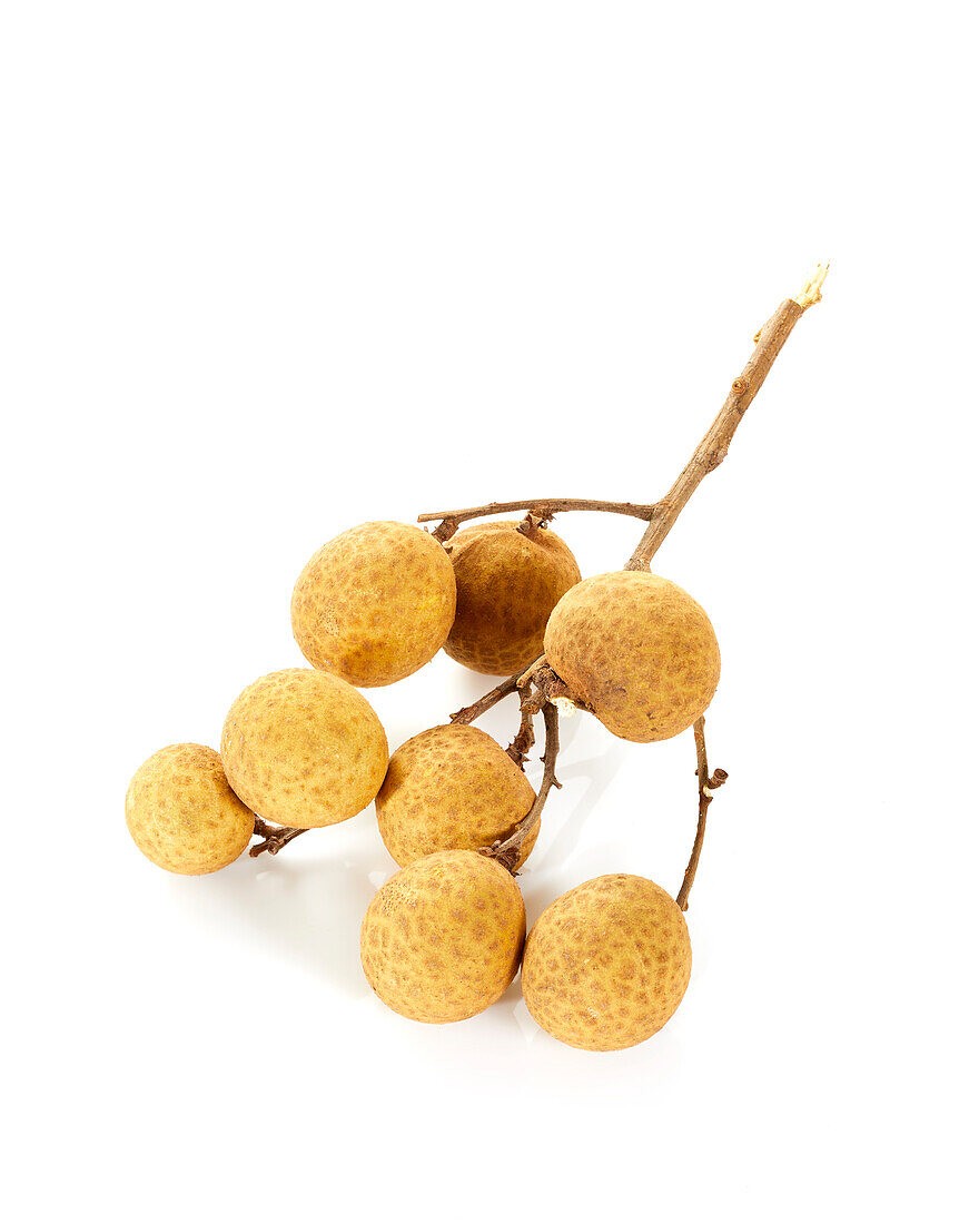 Longan, Dimocarpus longan