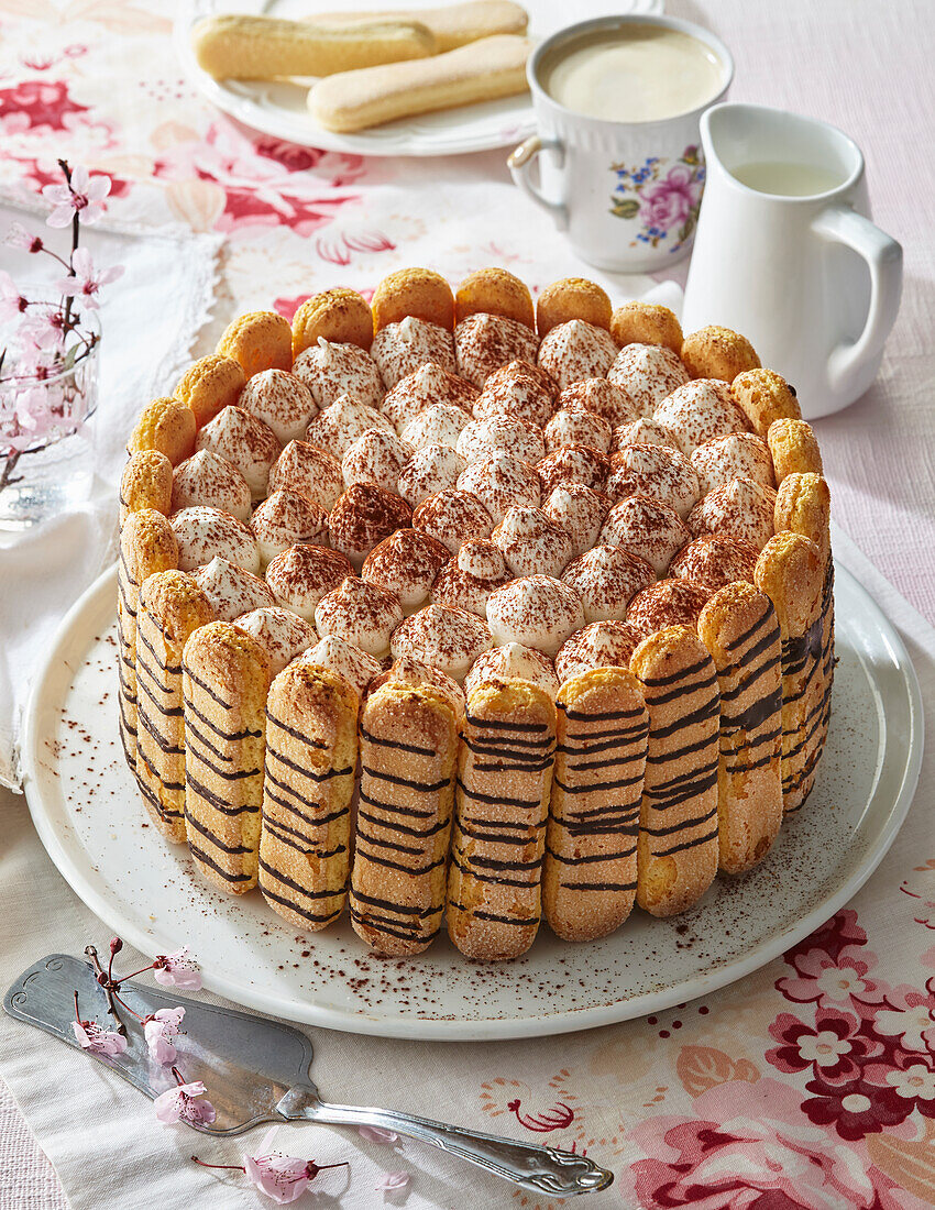 Tiramisu cake