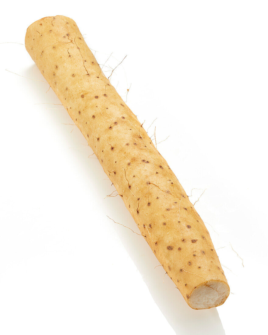 Chinesische Yamswurzel (Dioscorea polystachya)