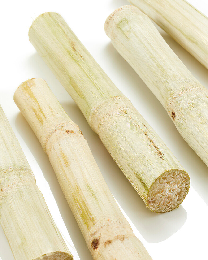 Sugar Cane Mao Kan, Sugarcane Mao Kan, Saccharum officinarum