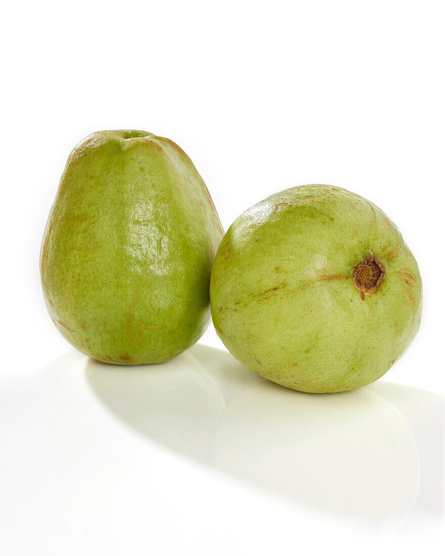 Guava, Psidium guajava