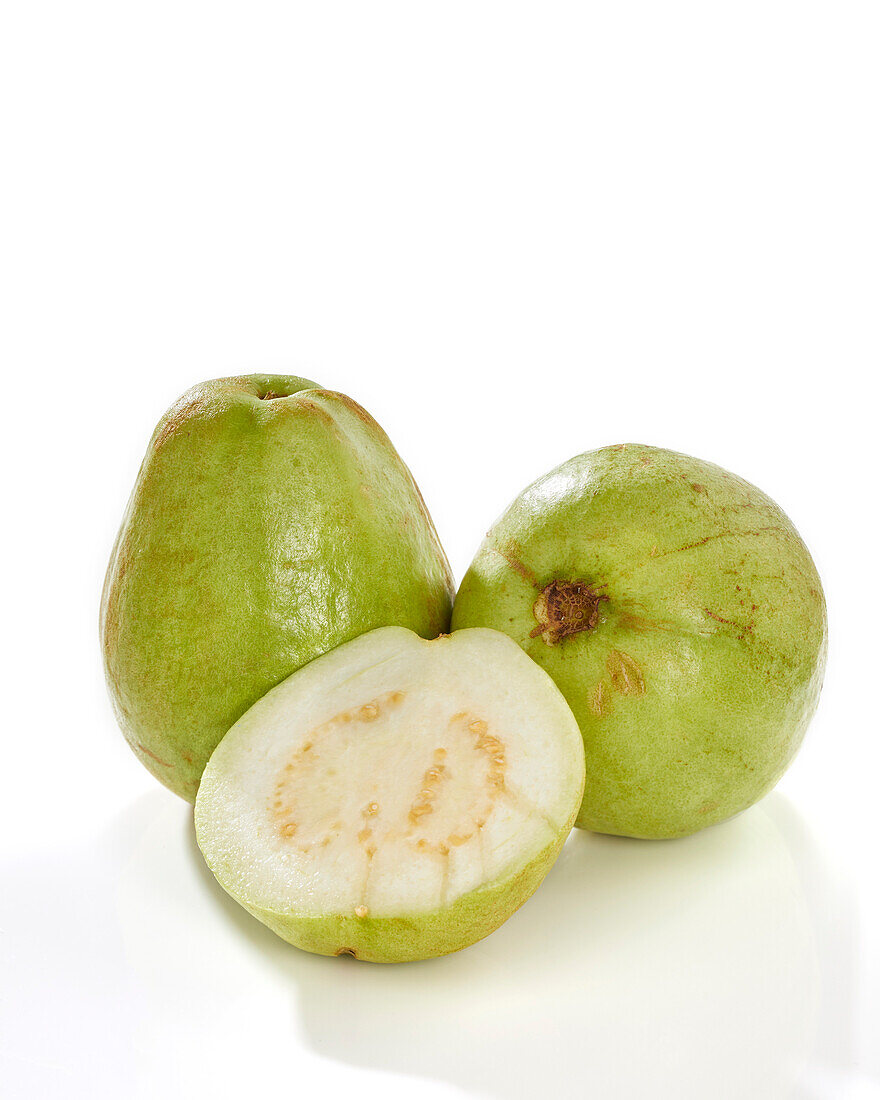 Guave (Psidium guajava)