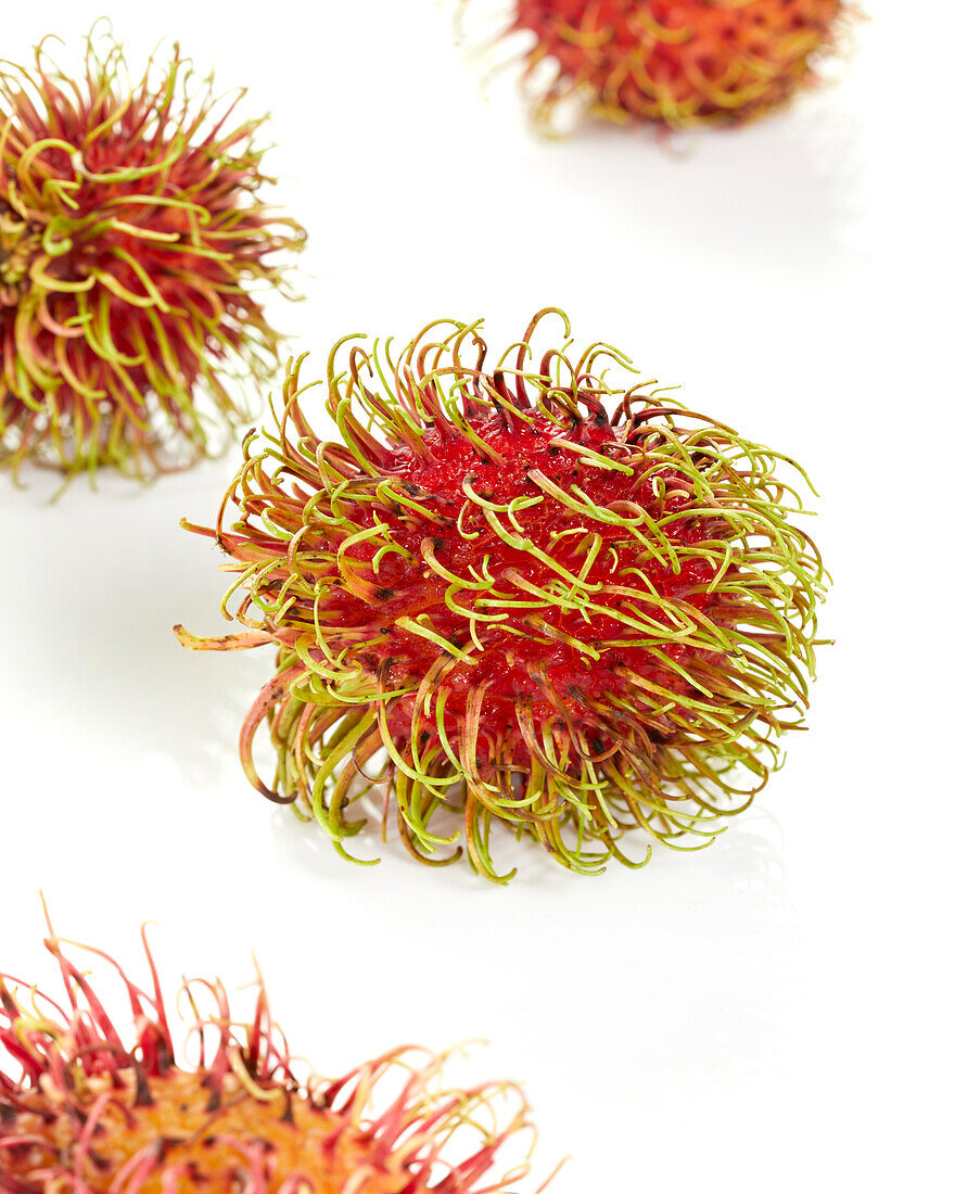 Rambutan, Nephelium lappaceum