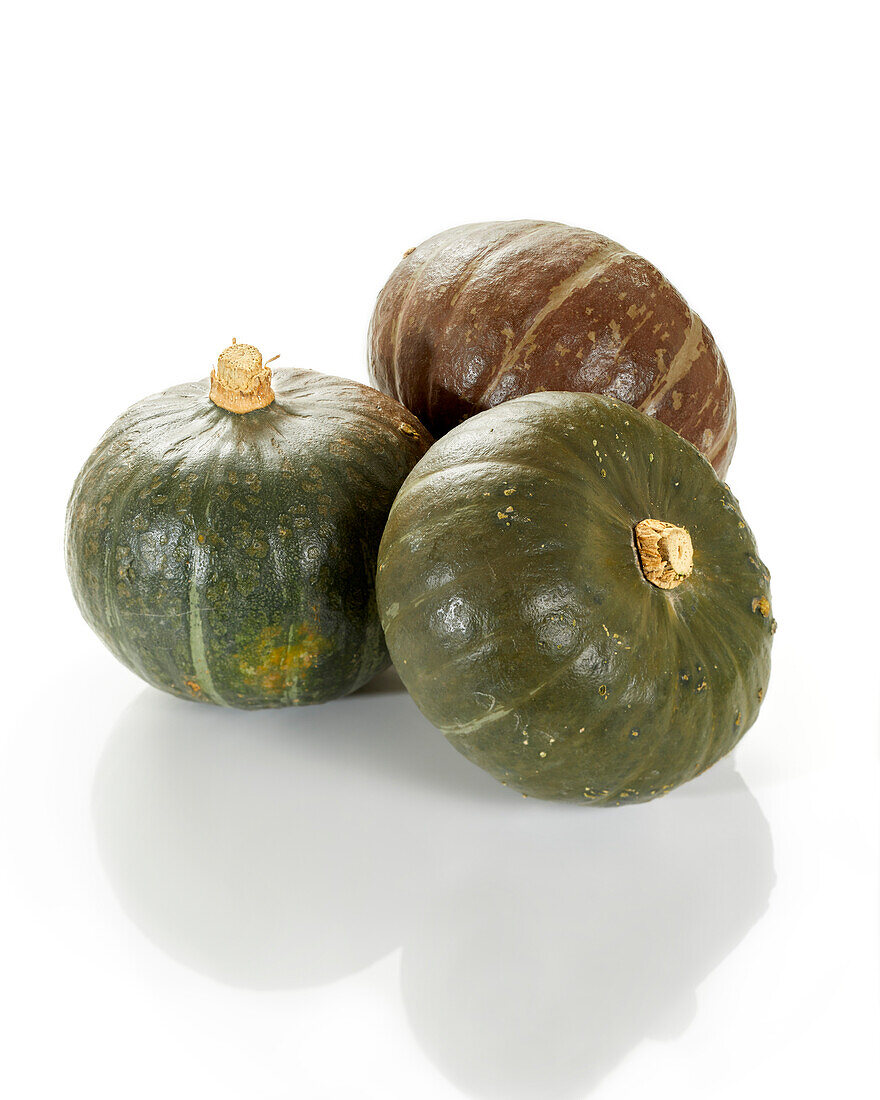 Grüner Kürbis (Cucurbita)