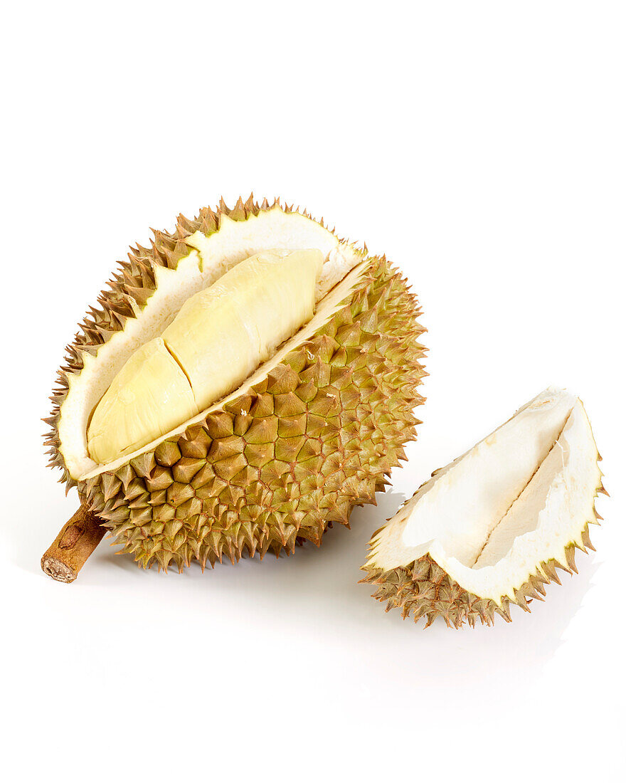 Durian Mon Thong (Durio zibethinus)