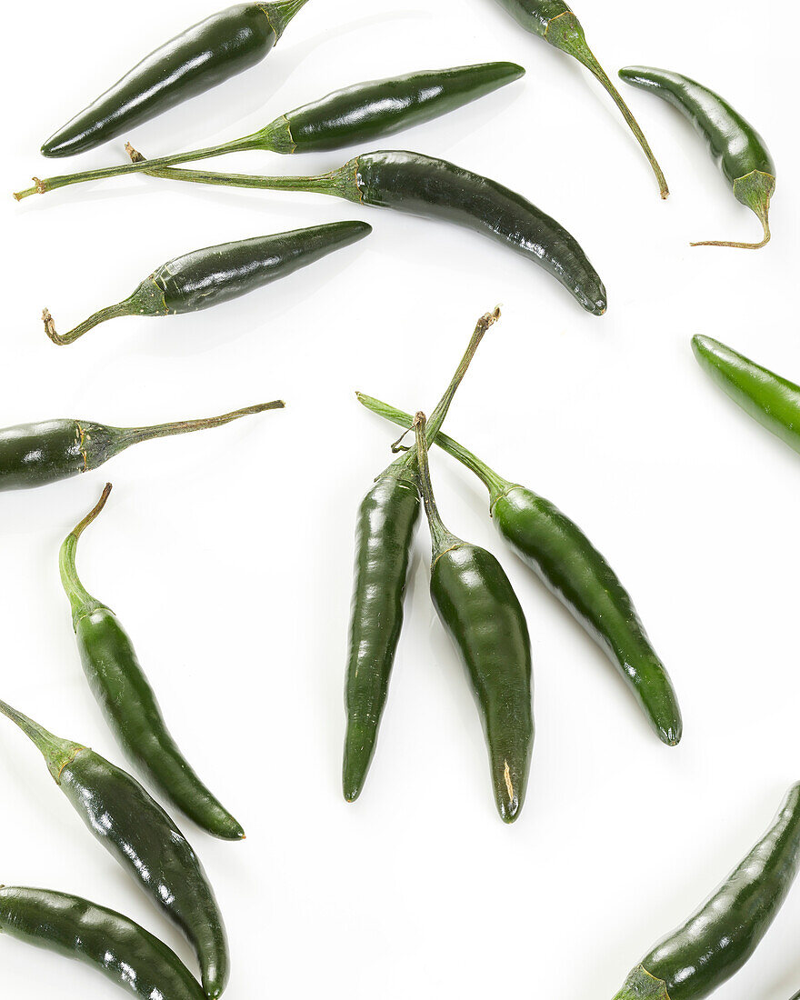 Green chili Ot Xanh, Capsicum