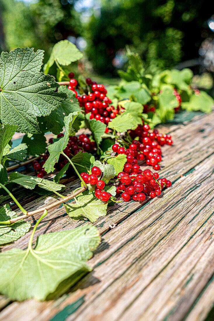 Red currants