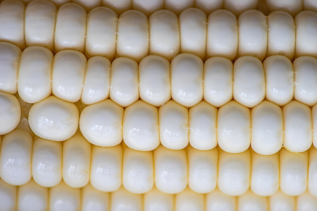 Strukturierter roher weißer Mais (Bildfüllend)