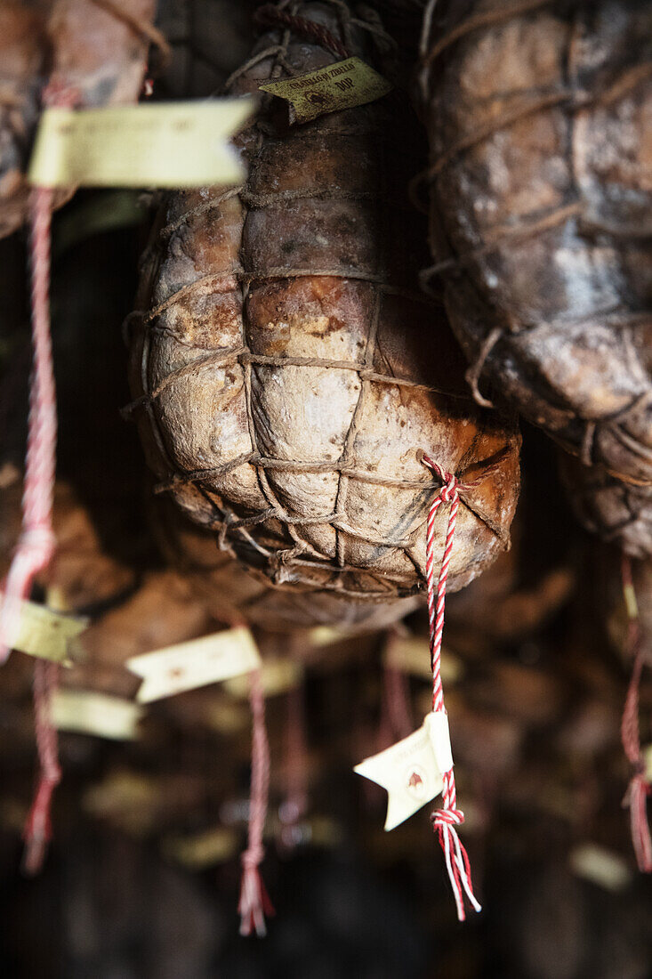 Maturing culatello