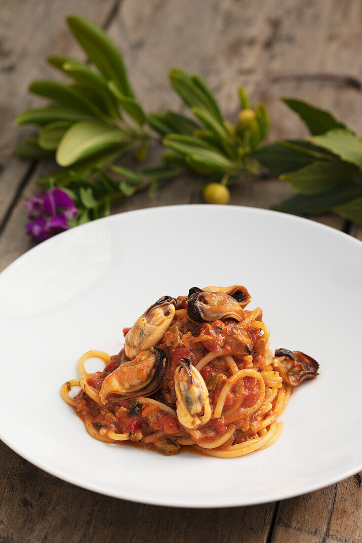 Spaghetti mit Muschelragout (Marken)