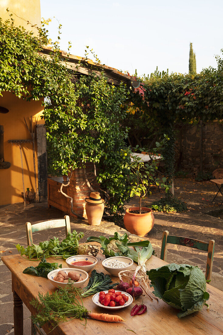 Tisch mit frischen Zutaten aus dem Garten (Marken)