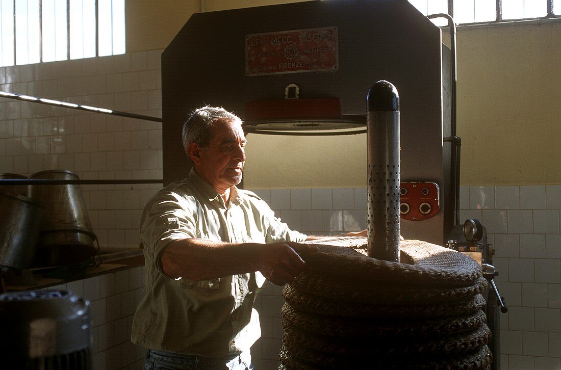 Olive oil production : the bags are stacked & pressed