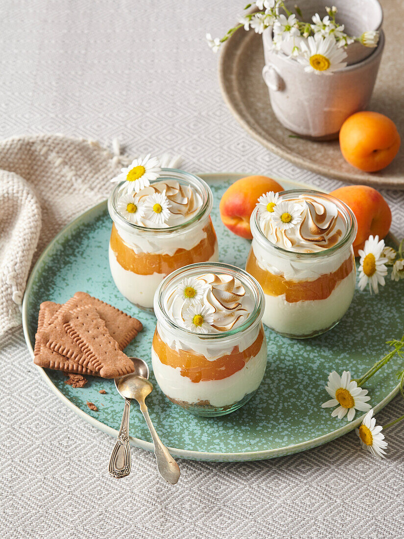 Apricot yogurt layer cup with meringue topping