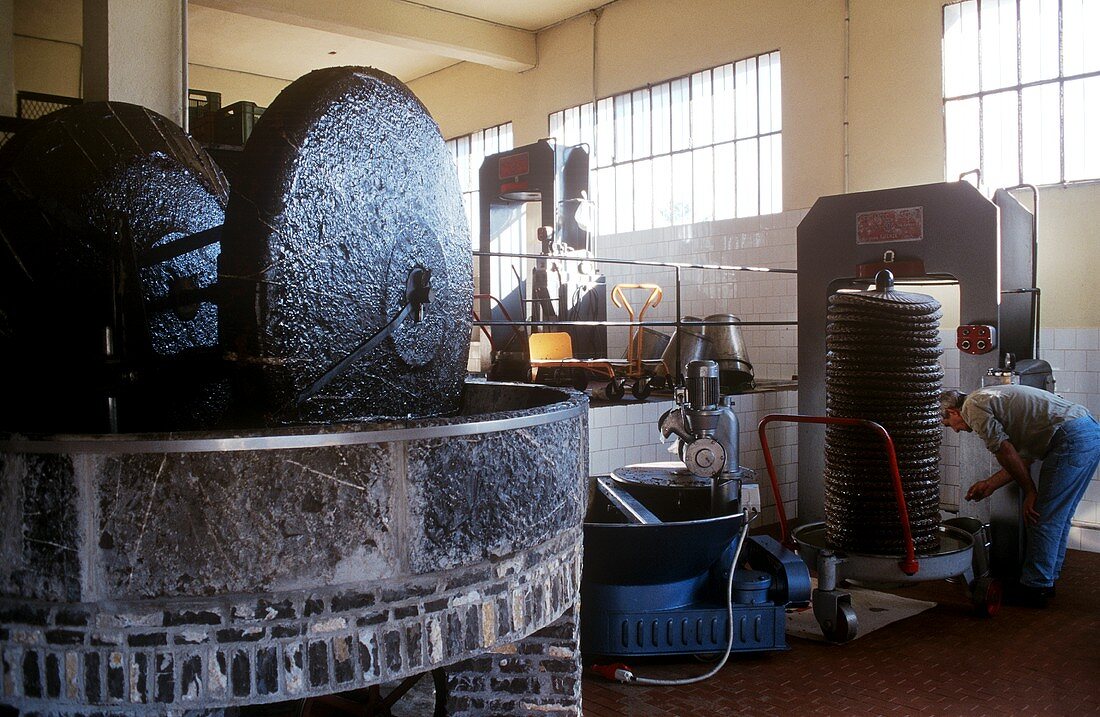 Olive mill with olive press behind in Italian factory
