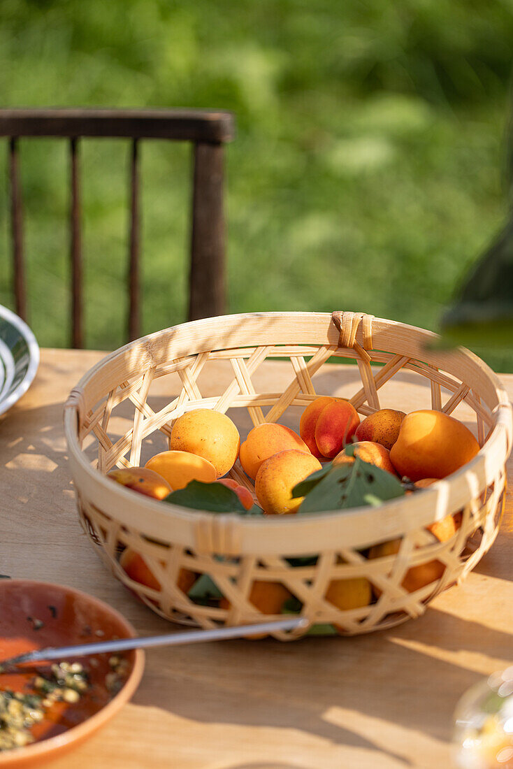 Freshly picked apricots