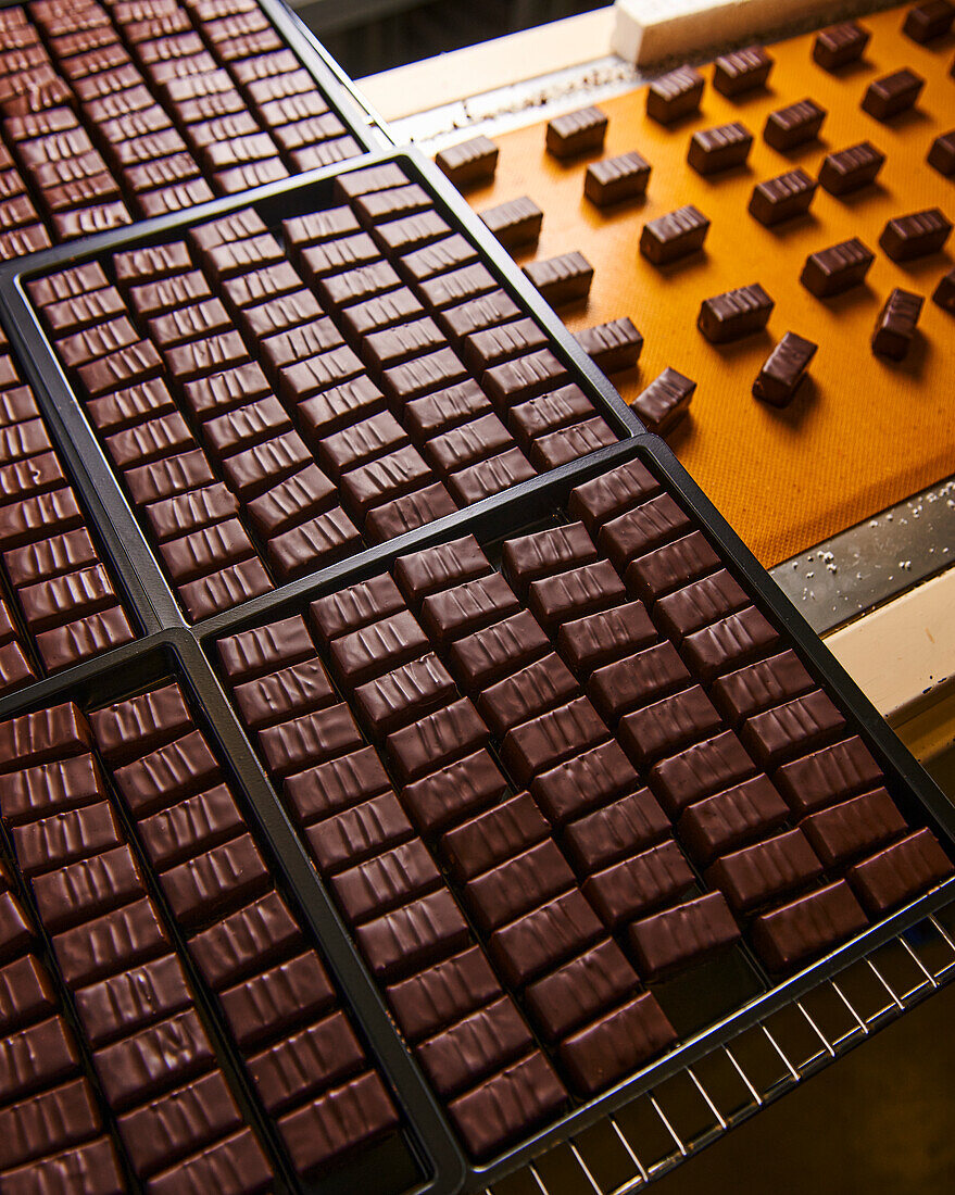 Industrially produced chocolate pralines