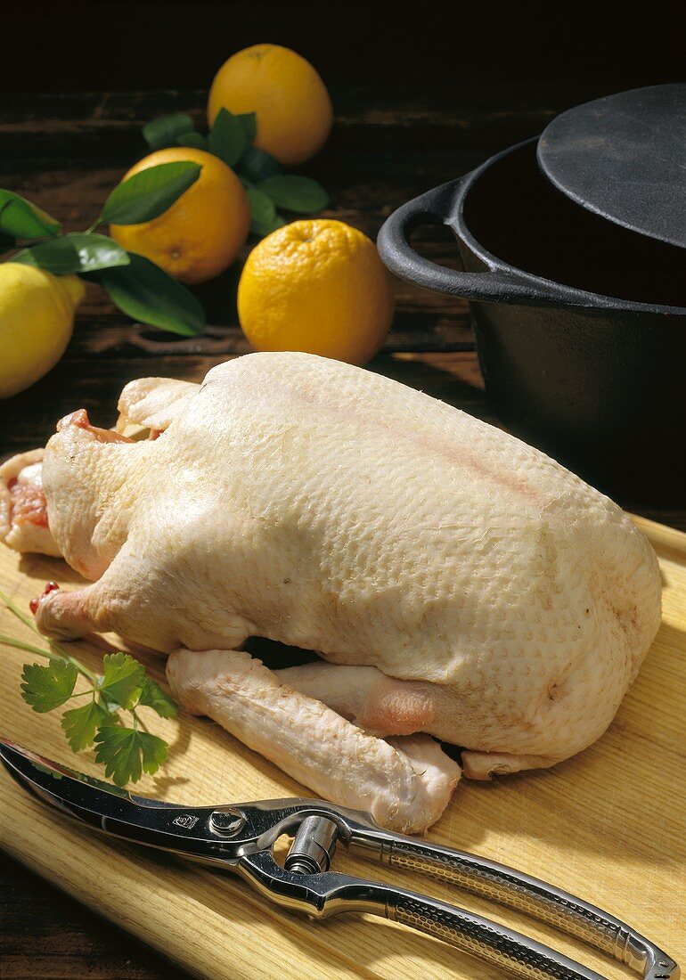 Eine rohe Ente auf Küchenbrett, Deko: Geflügelschere, Orangen