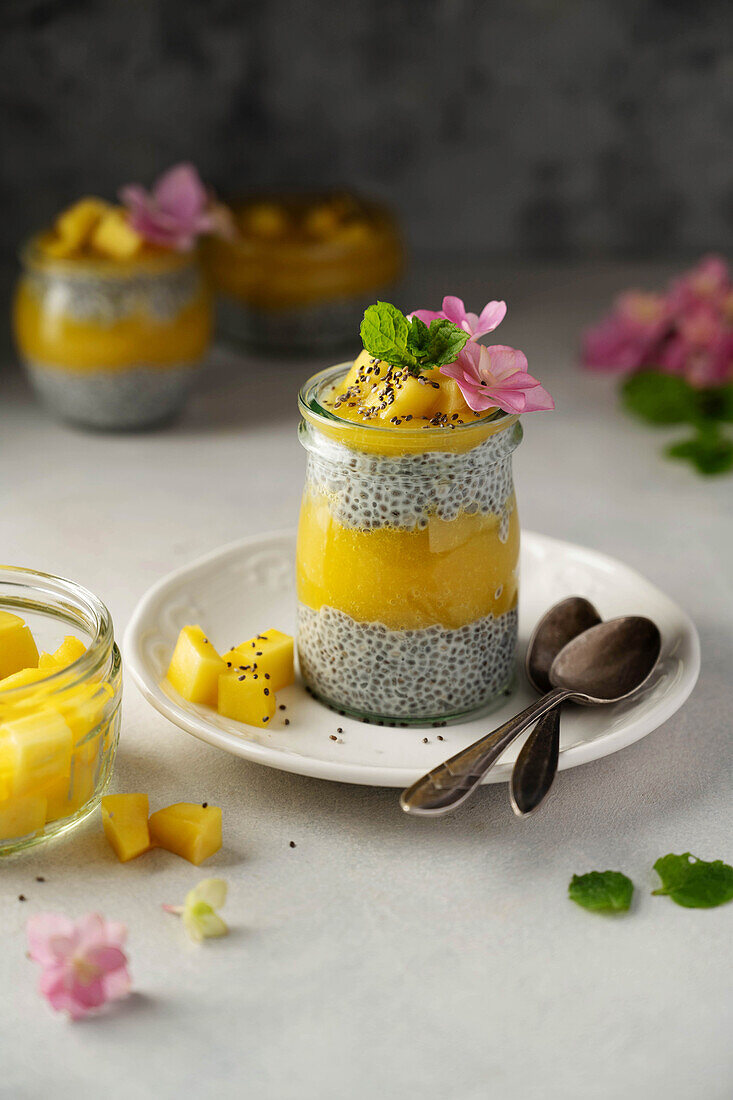 Chia-Pudding mit Mango-Smoothie