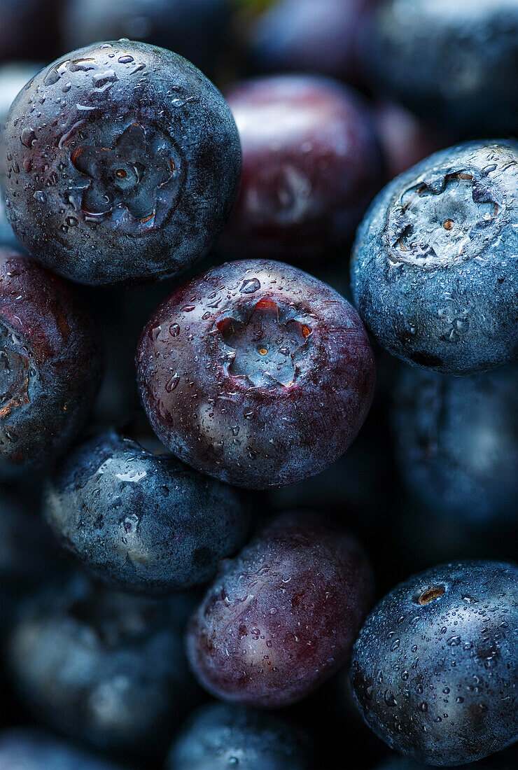 Frische Heidelbeeren (Nahaufnahme)