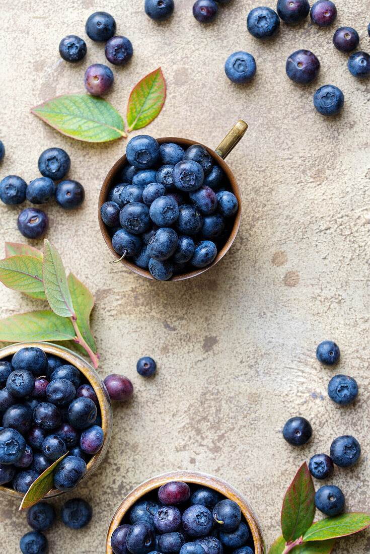 Frische Heidelbeeren in kleinen Schüsseln