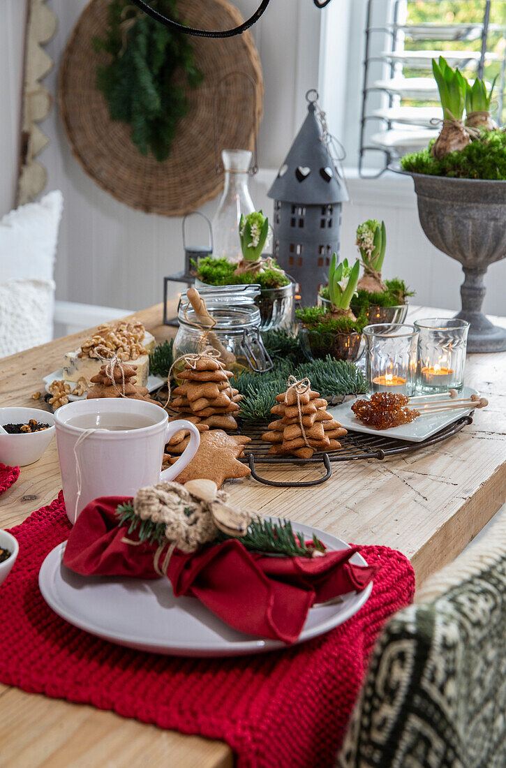 Weihnachtlich gedeckter Tisch mit Tannenzweigen, Hyazinthen und Lebkuchen