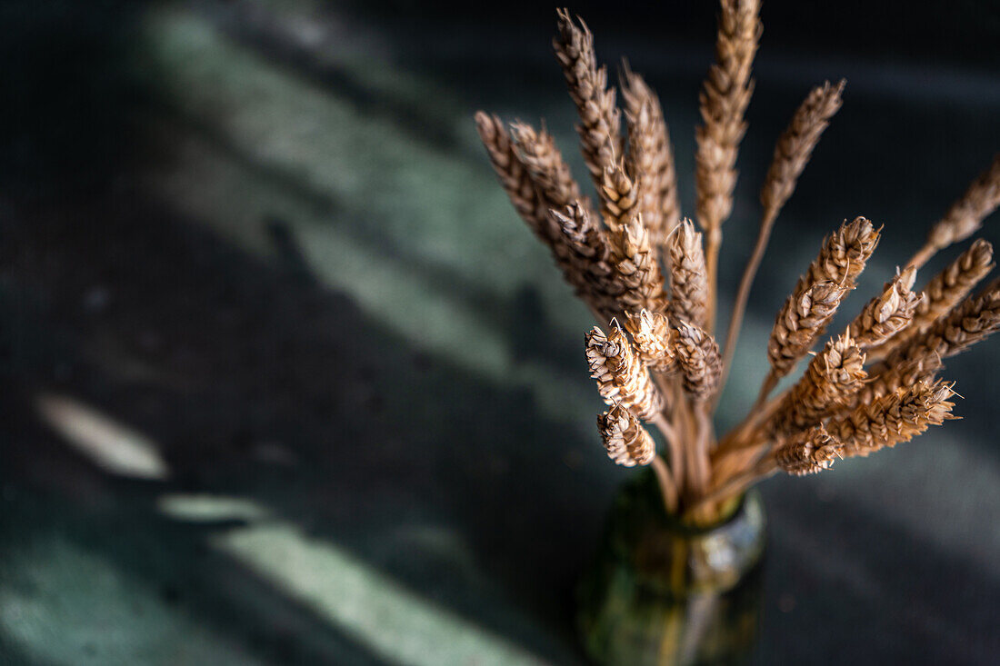 Wheat ears in glass vase