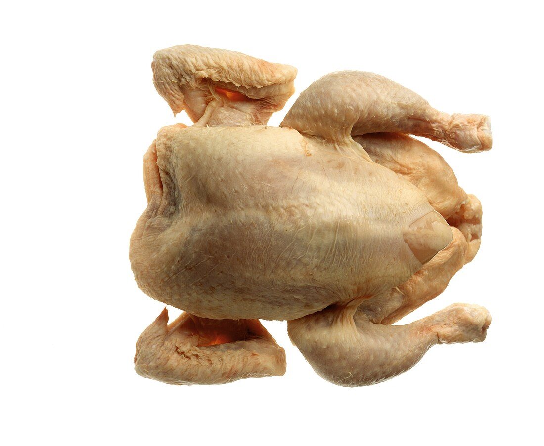 A Single Whole Chicken