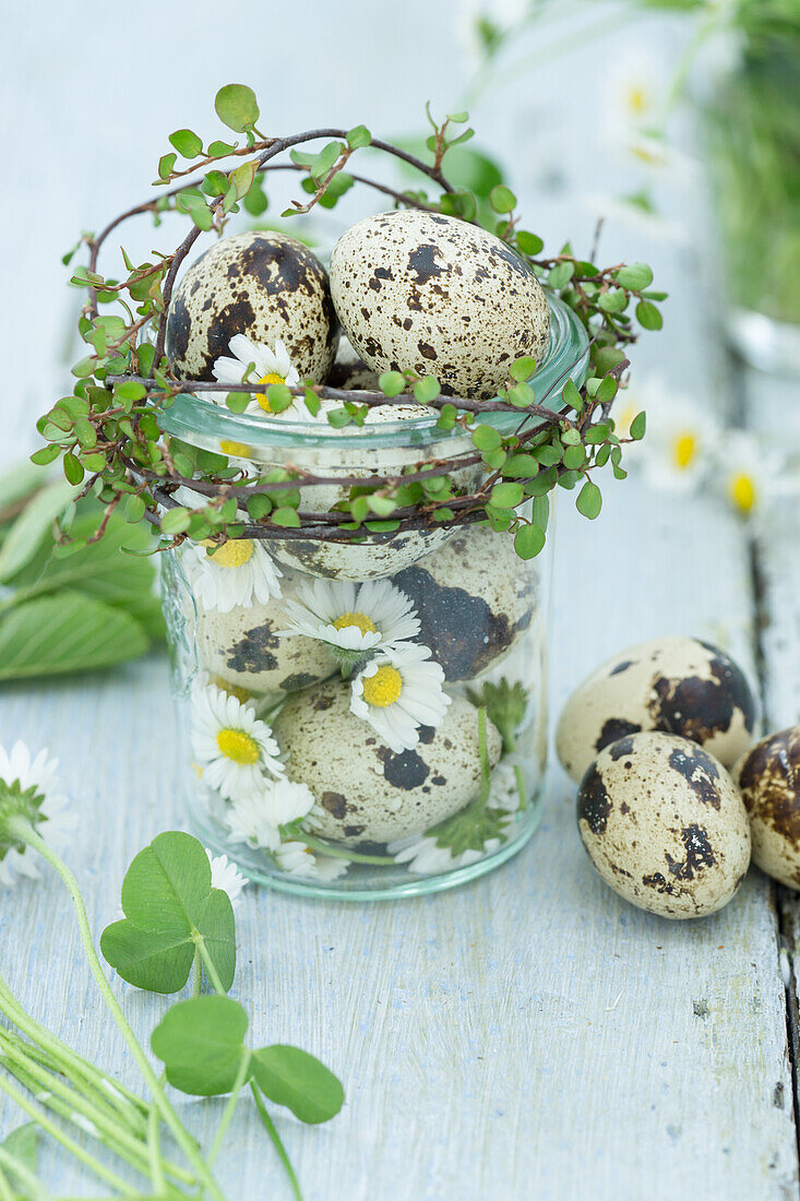 Wachteleier und Gänseblümchen (Bellis Perennis) in einem Glasgefäß auf Holztisch