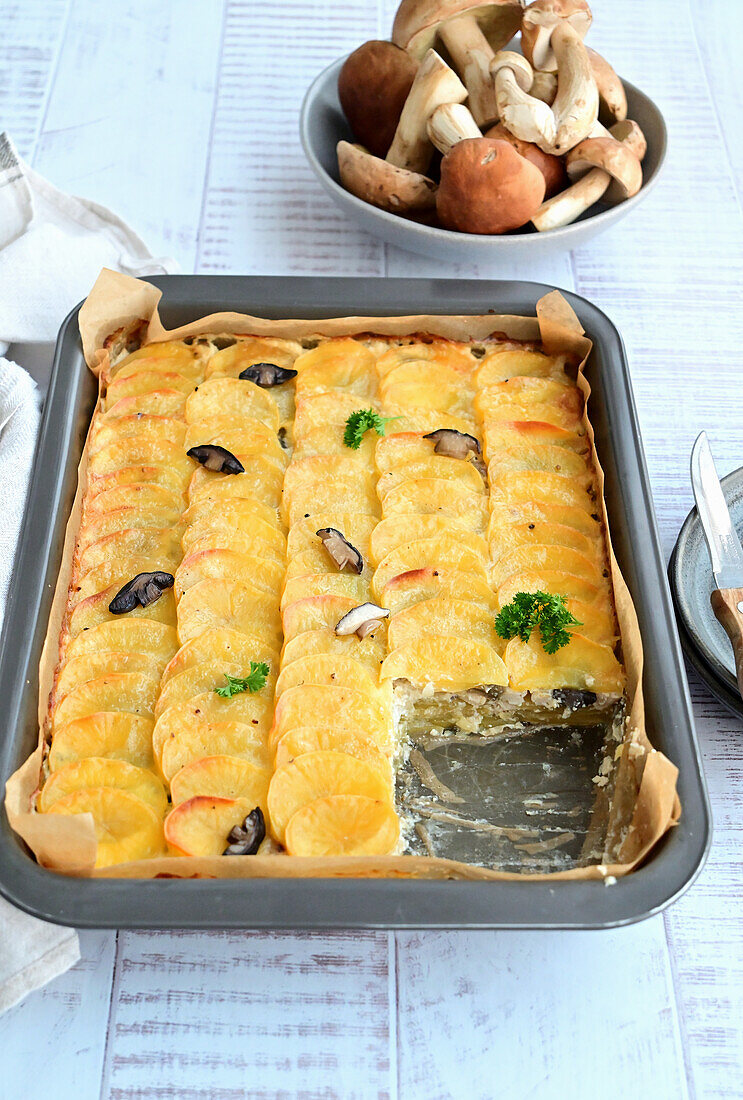 Potato and chicken casserole with wild mushrooms, onions and cream