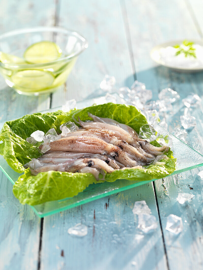 Tintenfische auf Salatblatt