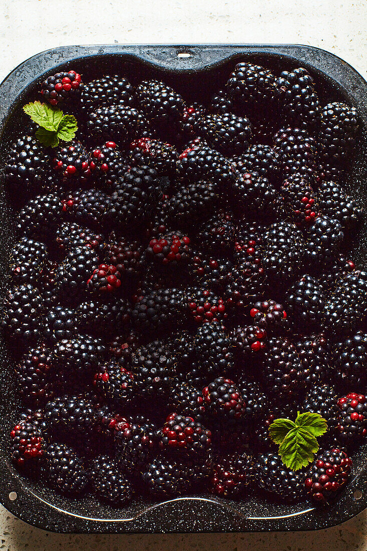 Blackberries