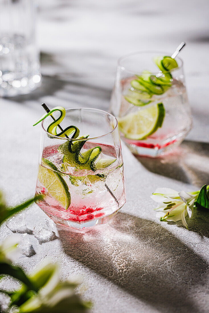 Gin and tonic with cucumber and pomegranate seeds