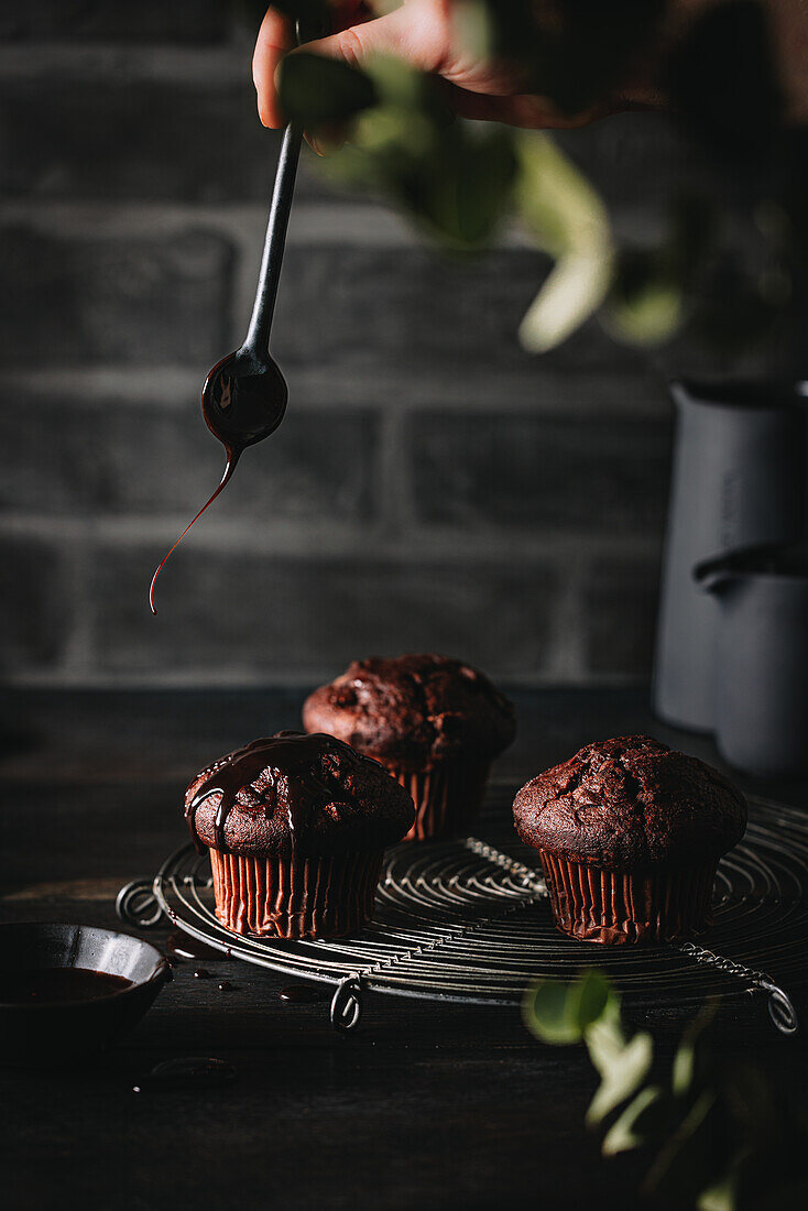 Chocolate muffins with chocolate chips