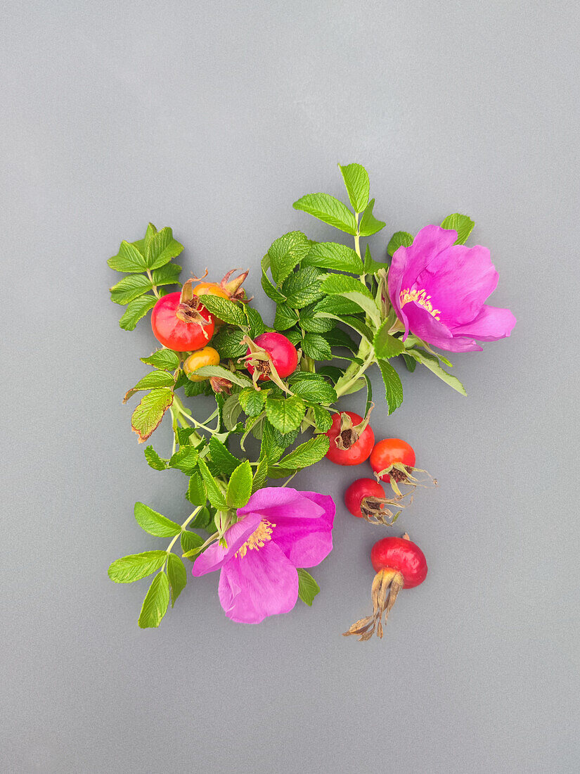 Rosehips with blossoms