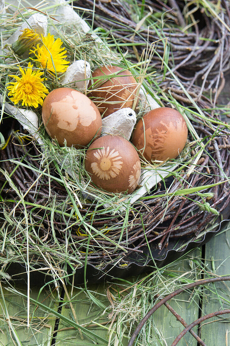 Easter eggs dyed in onion skins with dandelion flowers