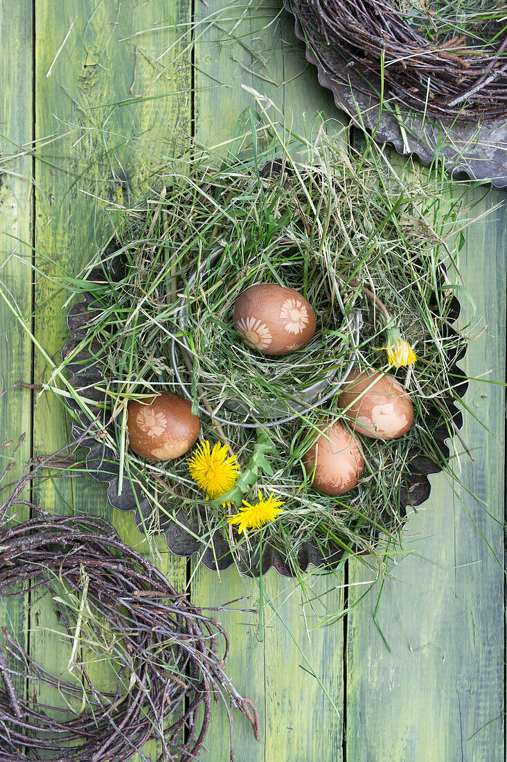 In Zwiebelschalen gefärbte Ostereier mit Löwenzahnblüten