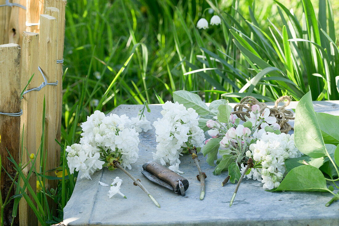 Weiße Fliederblütenzweige (Syringa) und Apfelblüten auf Gartentisch