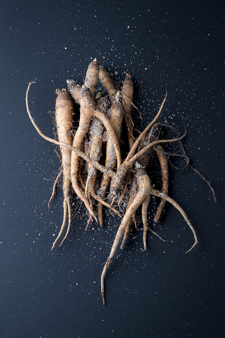 Organic Hamburg Root Parsley