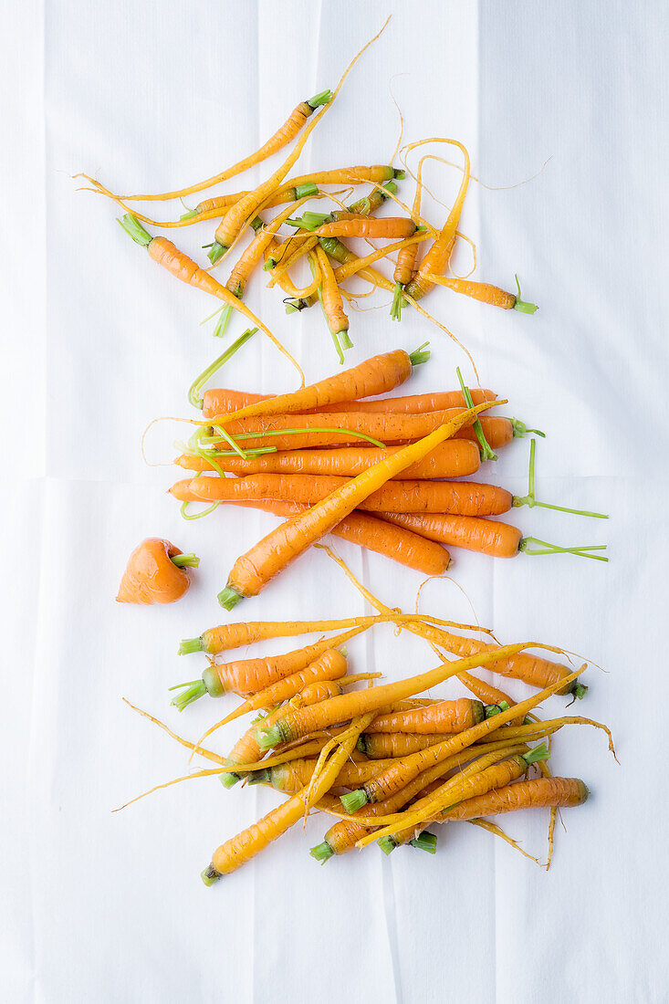 Various varieties of carrots