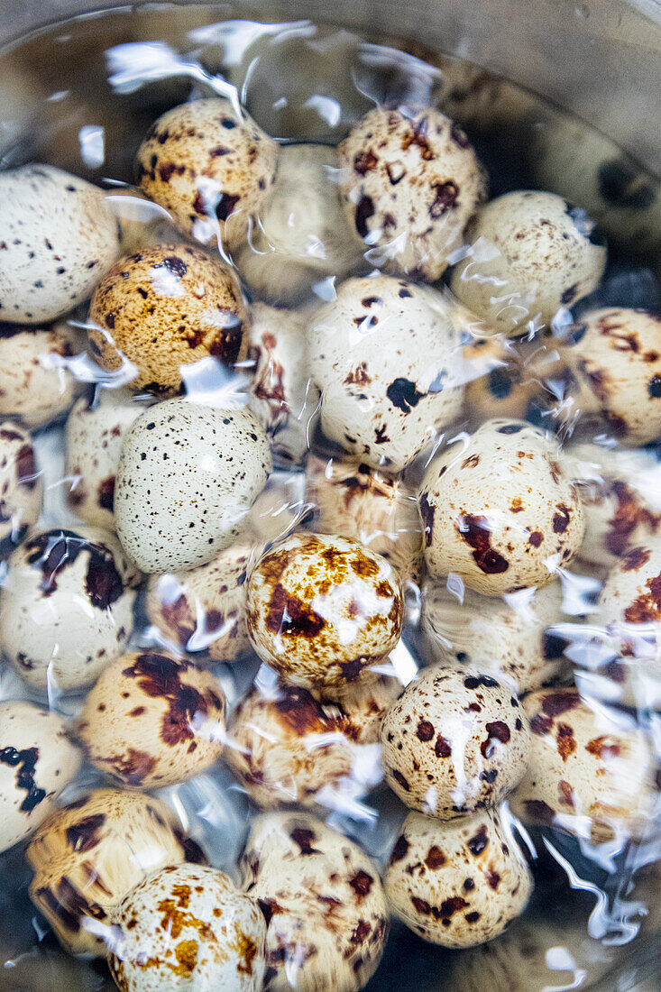 Quail's eggs