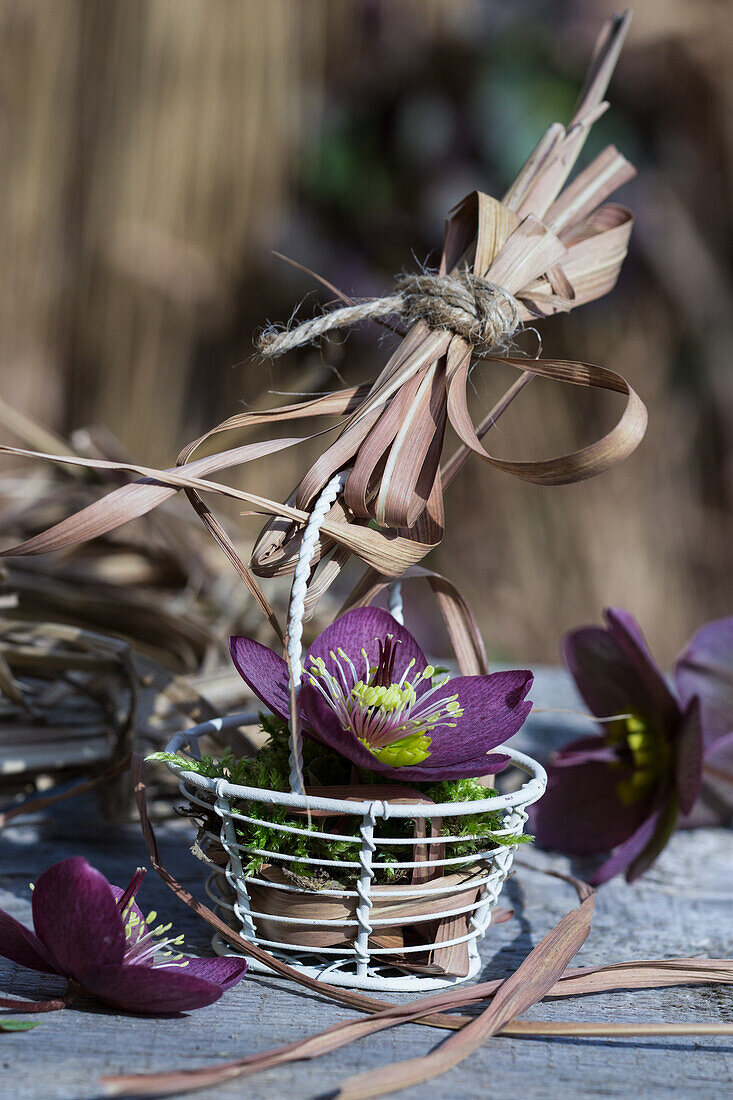 Arrangement with Oriental hellebore in a basket