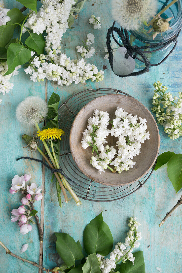 Fliederblüten (Syringa) in Holzschale, Sträußchen aus Löwenzahn (Taraxum) mit Pusteblumen und Apfelblütenzweig